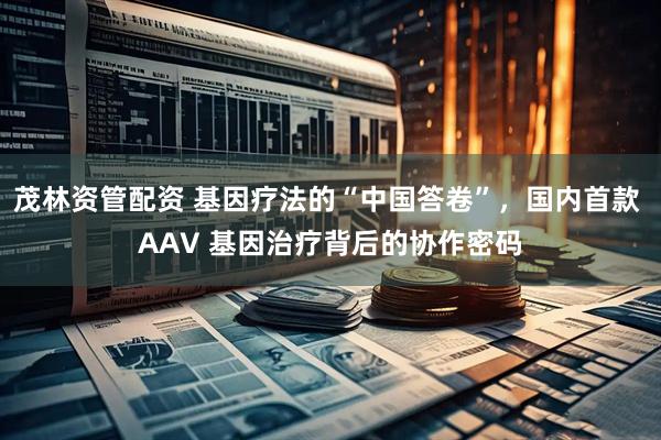 茂林资管配资 基因疗法的“中国答卷”，国内首款 AAV 基因治疗背后的协作密码
