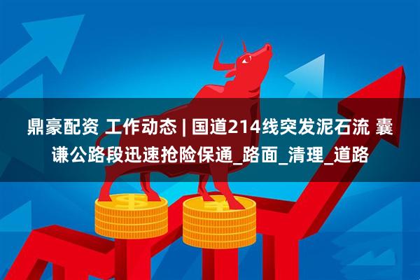 鼎豪配资 工作动态 | 国道214线突发泥石流 囊谦公路段迅速抢险保通_路面_清理_道路